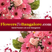 Floral fancy hits Bangalore all the way