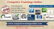 SoapUI Training Online and Placement in USA,  UK