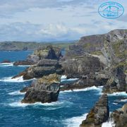 Discover the Beauty of Ireland with Scenic Coach Tours!