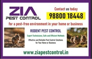 Get rid of Rodent | Bed Bug pest Control 5081