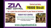 Rodent Control | 30% Off on Paying Guest | 5084